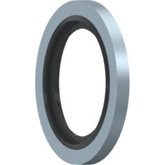 Bague BS - Métrique M36x2  - 1