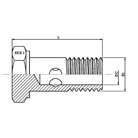 vis Ø 1" BSP (33 mm) - creuse simple hydraulique pour banjo 1" (33 mm)