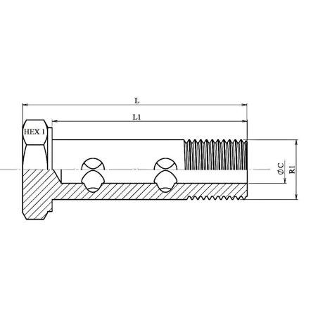 vis Ø 3/4 BSP (27 mm) - creuse double hydraulique pour banjo 3/4 (27 mm)