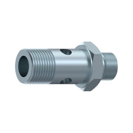 vis Ø 1/2 BSP (21 mm) - creuse simple hydraulique reduit pour banjo 3/4 (27 mm) DICSA - 1