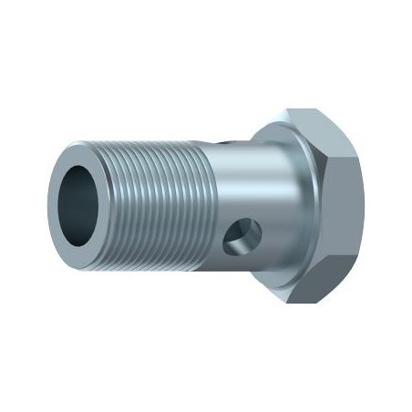vis Ø M18x150 creuse simple hydraulique pour banjo Ø 18 DICSA - 1
