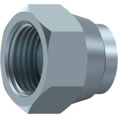 Bouchon Femelle Tournante - 2" BSP DICSA - 1