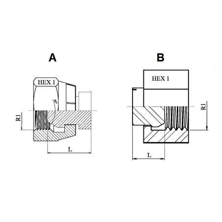 Bouchon Femelle Tournante - 2" BSP