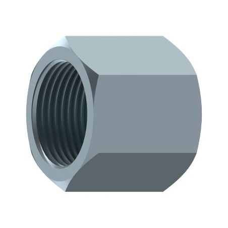 Bouchon Femelle Gaz - 1" FG - BSP DICSA - 1