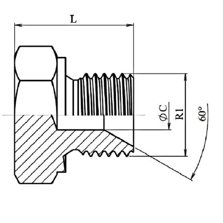 Bouchon Mâle Hexagonal (60°) - 3/4" BSP