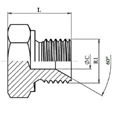 Bouchon Mâle Hexagonal (60°) - 1" BSP