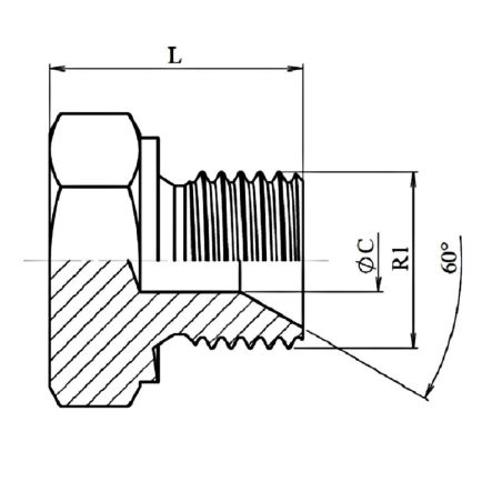 Bouchon Mâle Héxagonal Métrique - M10X1