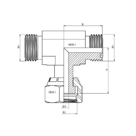 Té ORFS male - femelle tournant - male 13/16