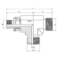 Te male ORFS 9/16 - male ORFS 9/16 - male BSP 1/8