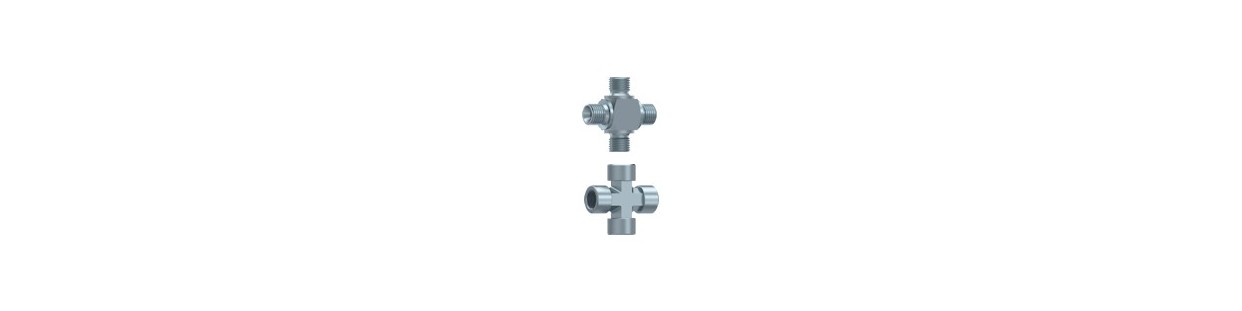 Croix BSP male femelle
