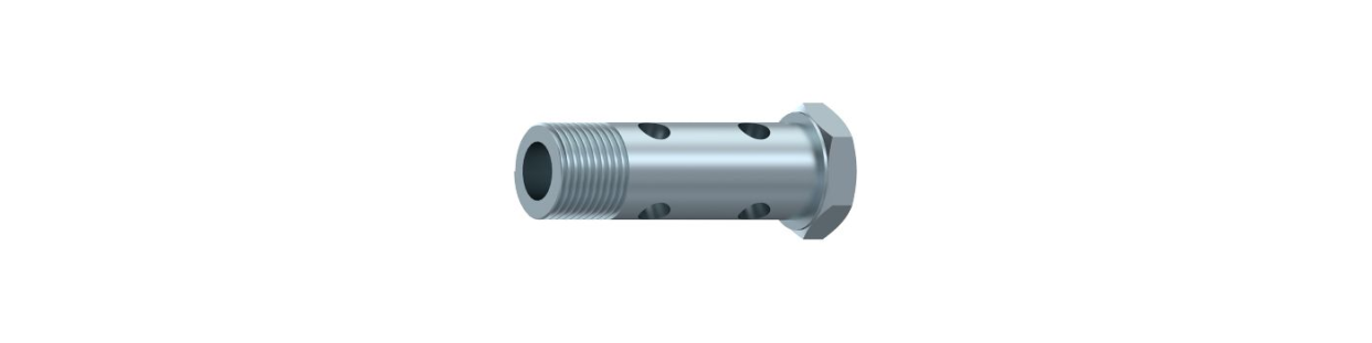 Vis creuse double BSP - A1094